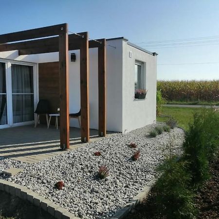 Domek Pod Lasem Opole Extérieur photo